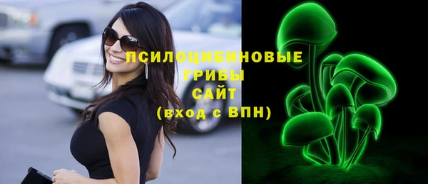 СК Бородино