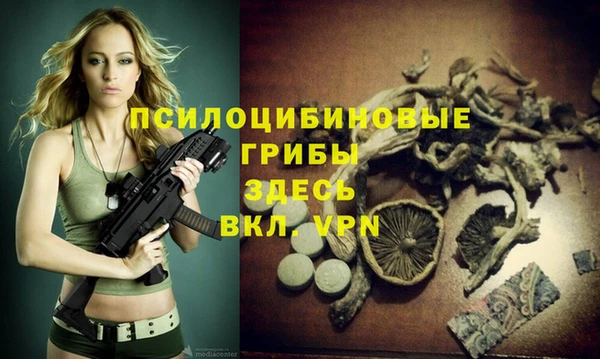 гидропоника Бронницы
