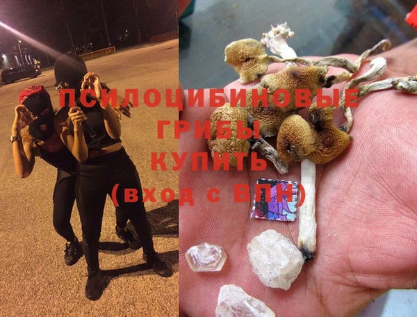 сатива Бугульма