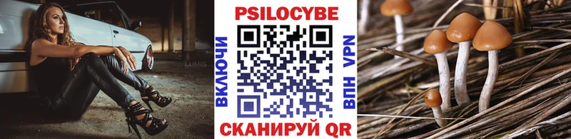 Псилоцибиновые грибы ЛСД Невельск